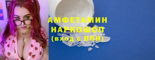 индика Белокуриха