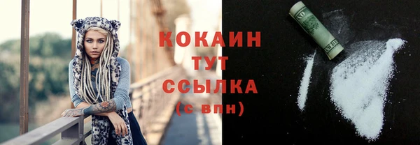 индика Белокуриха