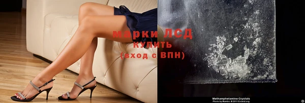 индика Белокуриха