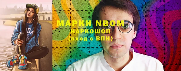 индика Белокуриха