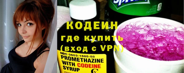индика Белокуриха