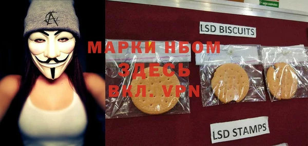 индика Белокуриха